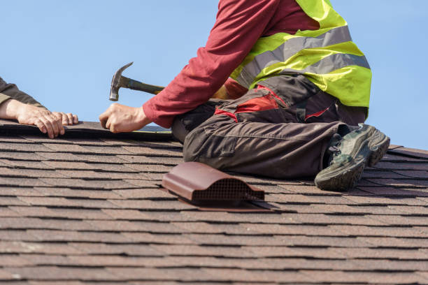 Best Shingle Roofing Installation  in Dermott, AR